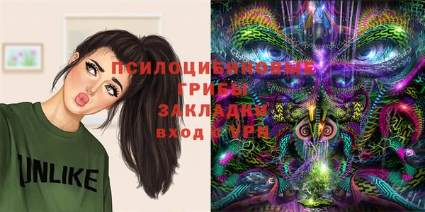 а пвп мука Инсар
